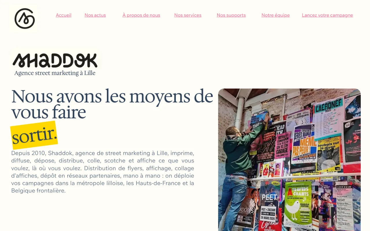 Site internet Shaddok, agence street marketing à Lille